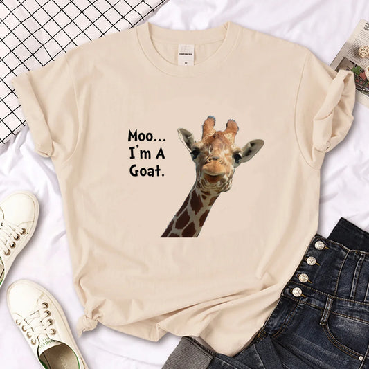 41333726707790|41333726773326|41333726806094|41333726838862|41333726871630|41333726937166